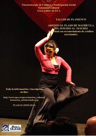 Taller de Flamenco