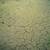 Desertizacion_sciencepics Desertizacion_sciencepics