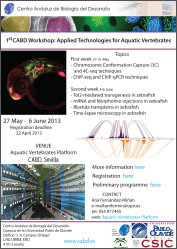 Flyer_CABDWorkshop_AVP