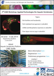 AVP_2ndworkshop_flyer
