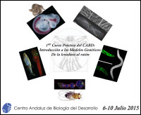 CABD Workshops : AVP2015 (July News)