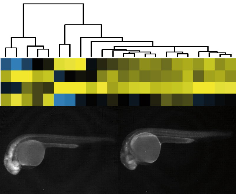 Fig: GSlab01
