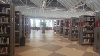 Biblioteca interior