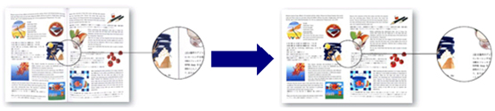 Imagen digitalizada con el escaner PS5000C