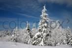 Imagen de la nieve