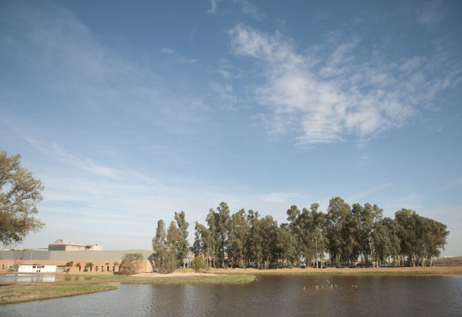 Lagunas de la UPO