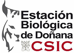 EBD