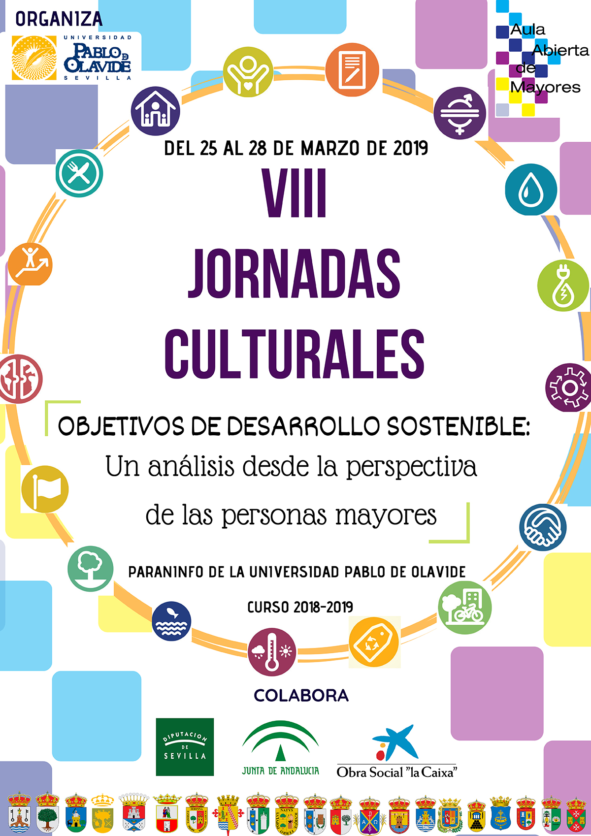 VIII Jornadas Culturales