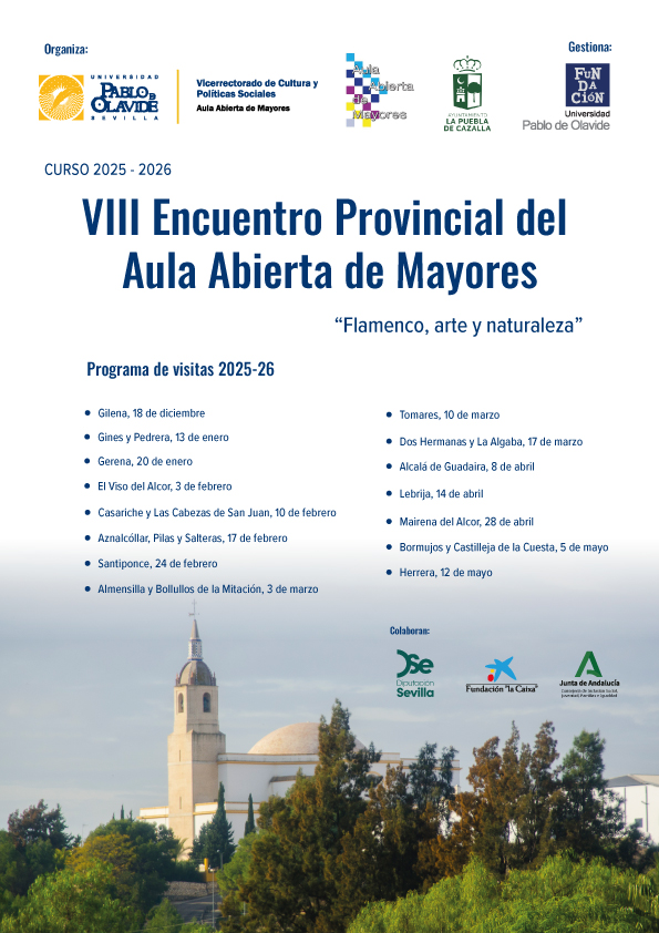 VIII-encuentro-provincial_A4_v3