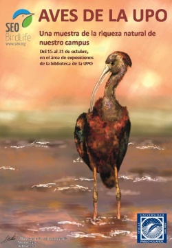 Aves en la upo_exposición