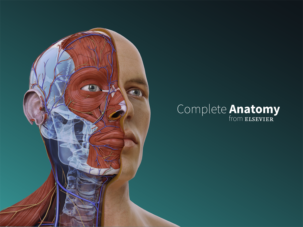 Logotipo de Complete Anatomy (Elsevier)