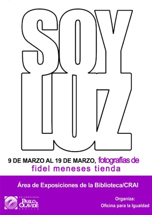 poster_soyluz