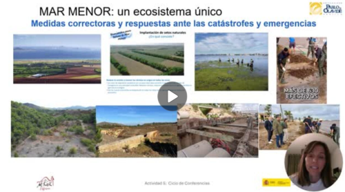 Vídeo 5 Vídeo 5