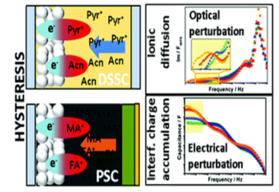 Specific cation interactions as the cause of slow dynamics and hysteresis in dye and perovskite solar cells: a small-perturbation study 