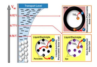 Universal Features of Electron Dynamics in Solar Cells with TiO2 Contact: From Dye Solar Cells to Perovskite Solar Cells