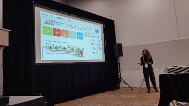 decoding perovskite ion dynamics