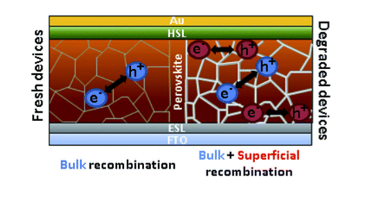 Impact of moisture on efficiency-determining electronic processes in perovskite solar cells,