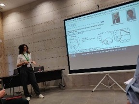 negative capacitance