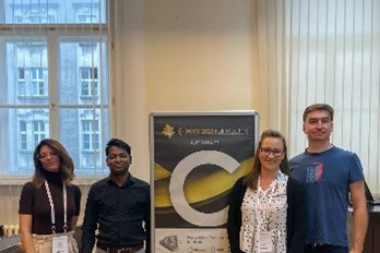 perovskites from materials science