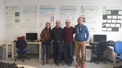 GrupoDiciembre2015