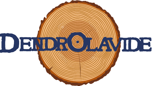 DendrOlavide