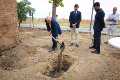 Colocación de la primera piedra de las obras de rehabilitación integral de la antigua Central Térmica