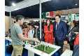 La UPO en la Feria de la Ciencia de Sevilla