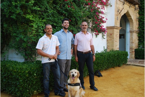 intervenciones_animales