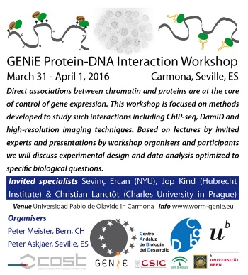 genie_workshop