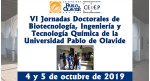 VI Jornadas Doctorales