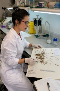 investigación1