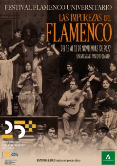 cartel Programa flamenco