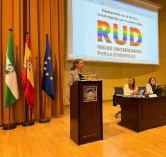 RUD consejo gobierno