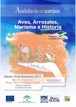 Cartel arrozales