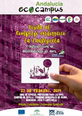 Ecocampo 23.02.2019