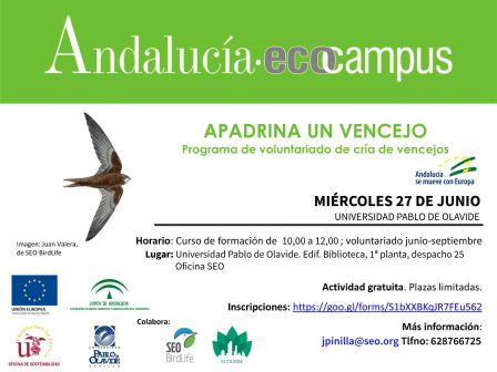 vencejos_upo_ (Locked by Irene Gimenez Garcia (imgimgar))
