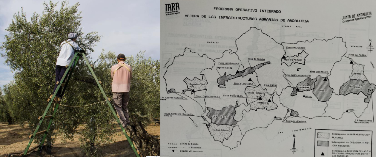 coloquio-la-tierra-trabajo