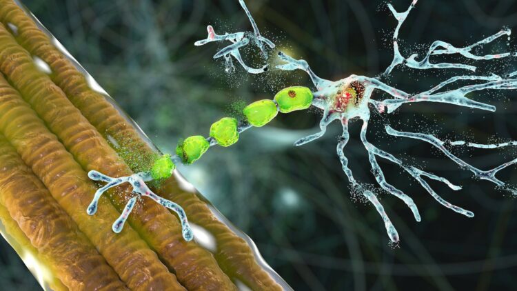 Kateryna Kon / Shutterstock