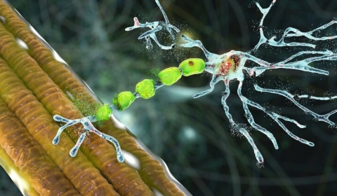 Kateryna Kon / Shutterstock
