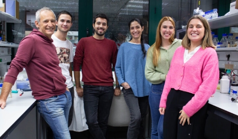 De izquierda a derecha: Rafael R. Daga (catedrático de Genética), Eduardo Díaz Pérez (estudiante Grado Biotecnología, UPO), Gabriel Ruiz Romero (estudiante de Doctorado), Silvia Salas Pino (profesora contratada doctora), Mª Dolores Berdún Reina (estudiante de doctorado) y Paula Ochoa Mejía (estudiante del Máster en Biotecnología Sanitaria, UPO).