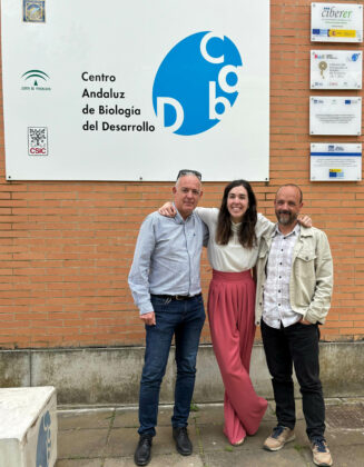 José I. Ibeas, María Dolores Pejenaute-Ochoa y Ramón R. Barrales.