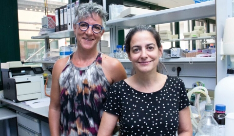 Marta Artal Sanz y María Jesús Rodríguez Palero.