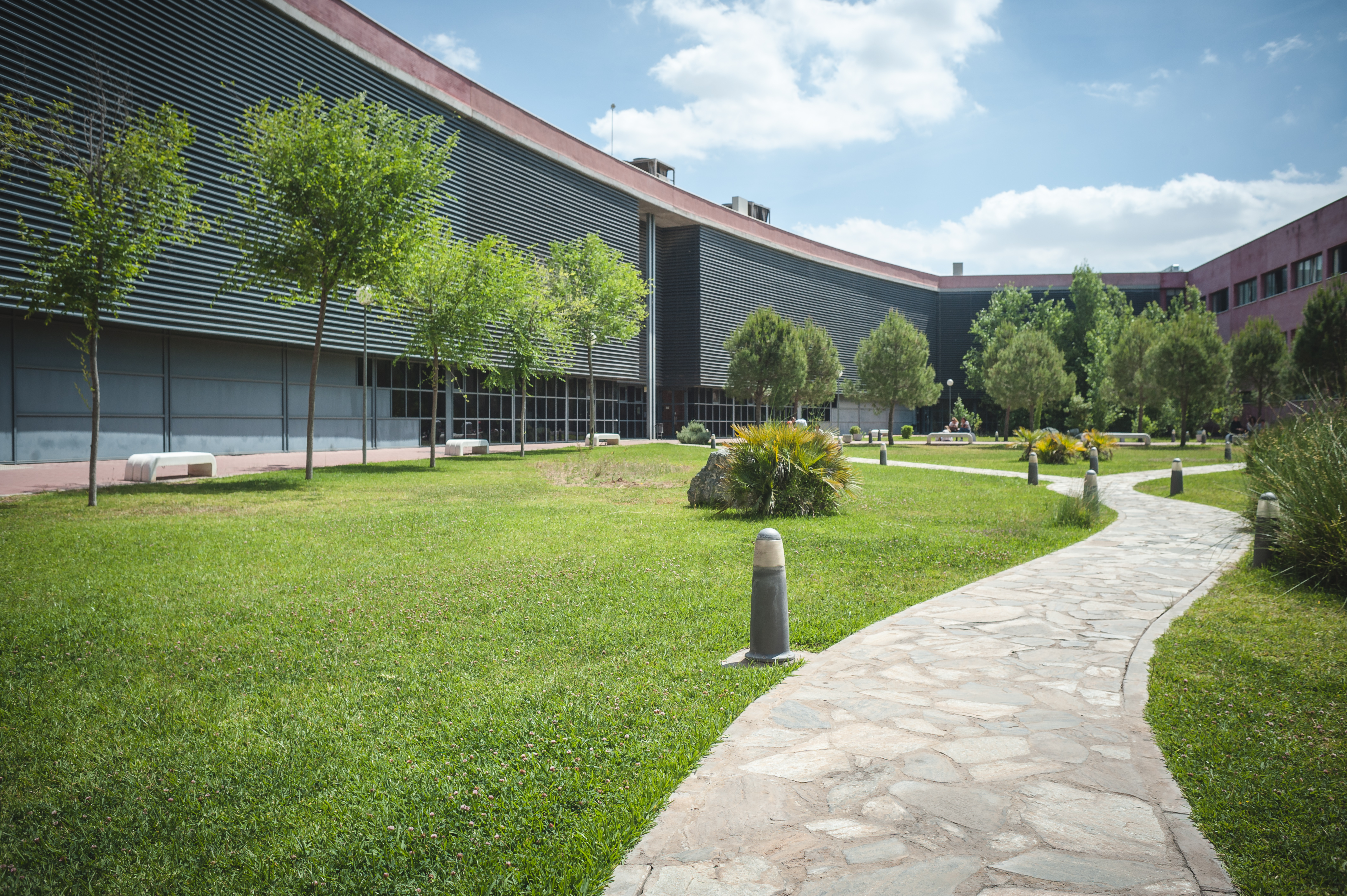 Áreas academicas