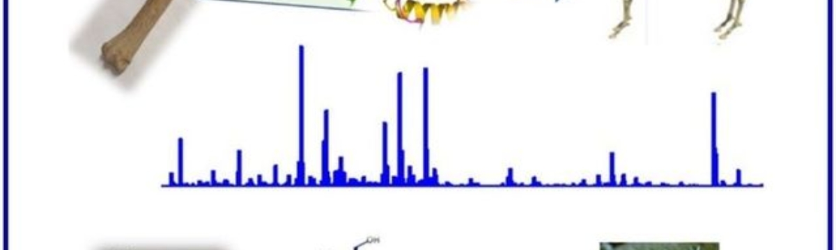 Seminario: Moléculas antiguas, o de cuando un físico-químico se lía con la arqueología