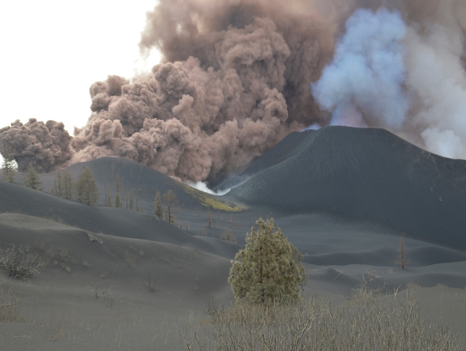 Foto La Palma