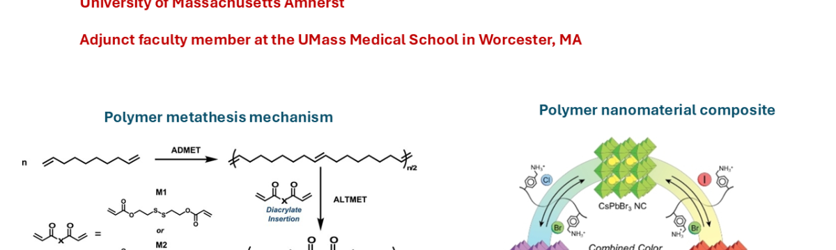 Bio-inspired Materials Synthesis