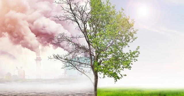 Jornada Contam Ambiental