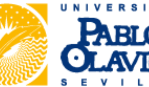 logo color