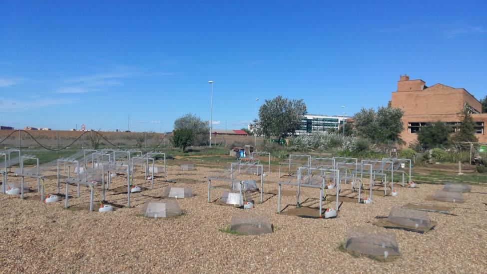 Cambio_Climático_Campus