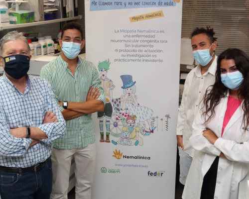 El equipo de Sánchez Alcázar continúa la búsqueda de nuevos tratamientos para las miopatías congénitas gracias al apoyo de la Asociación ‘Yo Nemalínica’
